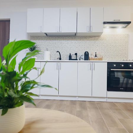 Ferienwohnung Subcetate Sighişoara Exterior foto